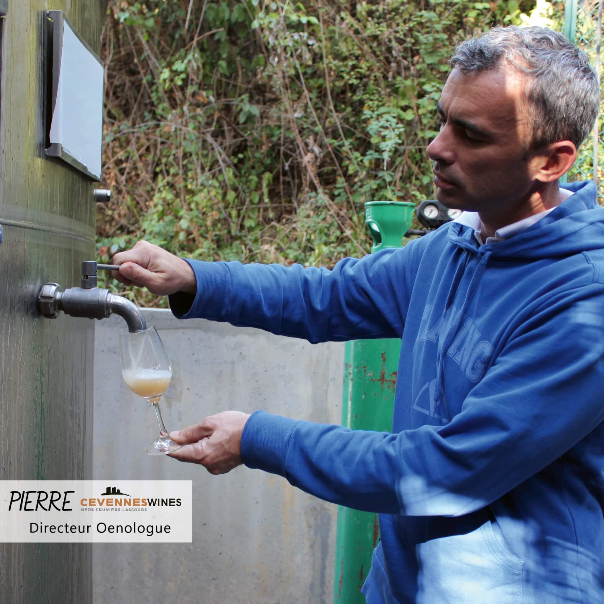 Pierre Directeur Oenologue
