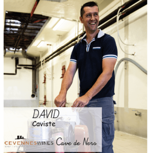 David Caviste